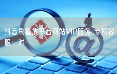 抖音刷播放平台网站VIP服务 专属客服一对一