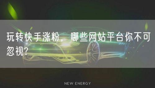 玩转快手涨粉,哪些网站平台你不可忽视?