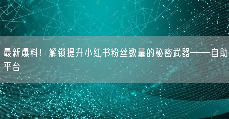 最新爆料!解锁提升小红书粉丝数量的秘密武器——自助平台